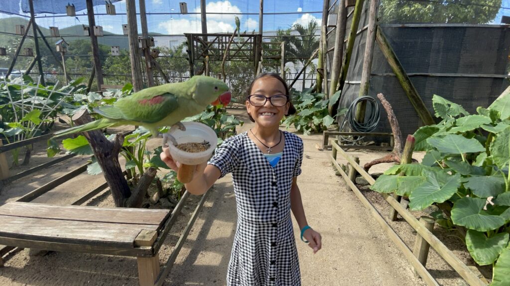 Family travel in Sint Maarten — daughter holding a green parrot with a red beak while exploring the Dutch side of the island.